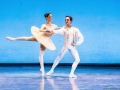 Coppelia