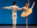 Coppelia(11)
