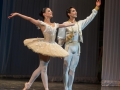 Coppelia(6)