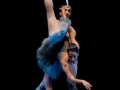 Corsaro (11)