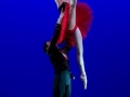 DonQujote (10)