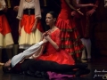 DonQujote (16)