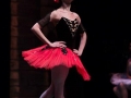 DonQujote (19)