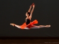 DonQujote (20)