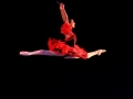 DonQujote (35)