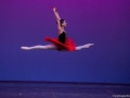 DonQujote (5)