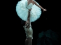 Fantasia Painting(84)