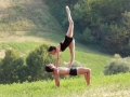 Nature (6)
