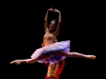 Nutcracker (2)