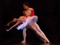 Nutcracker (3)