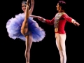 Nutcracker (4)