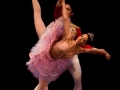 Nutcracker (5)